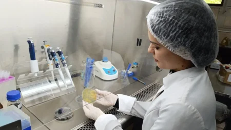 LabQuali realiza análises microbiológicas e físico-químicas em amostras colhidas em estabelecimentos sob inspeção estadual (Foto: Agrodefesa )