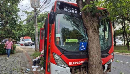 Ônibus Metropolitano Bate em Árvore em BH e Deixa 14 Feridos