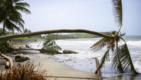 Terremoto de Magnitude 7,6 no Caribe Gera Alertas de Tsunami