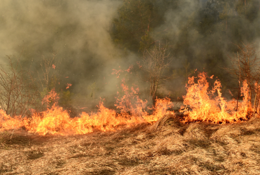 Incêndio em Senador Canedo é controlado após destruir mil hectares. | Foto: Reprodução