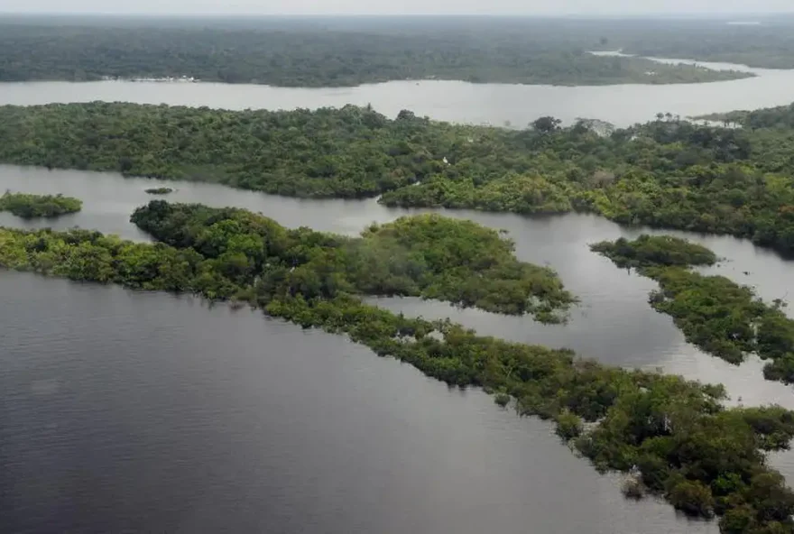 Ano de 2050 pode marcar o início de uma redução substancial na cobertura de floresta na região amazônica. (Foto: Agência Brasil)