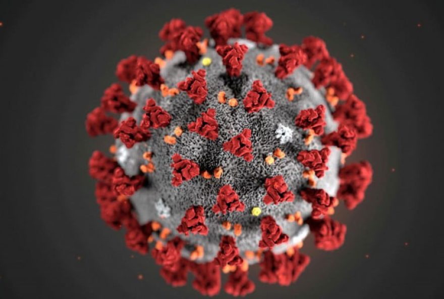 1_2021_02_19t194154z_1_lynxmpeh1i1cj_rtroptp_4_health_coronavirus_africa_variant-16465166
