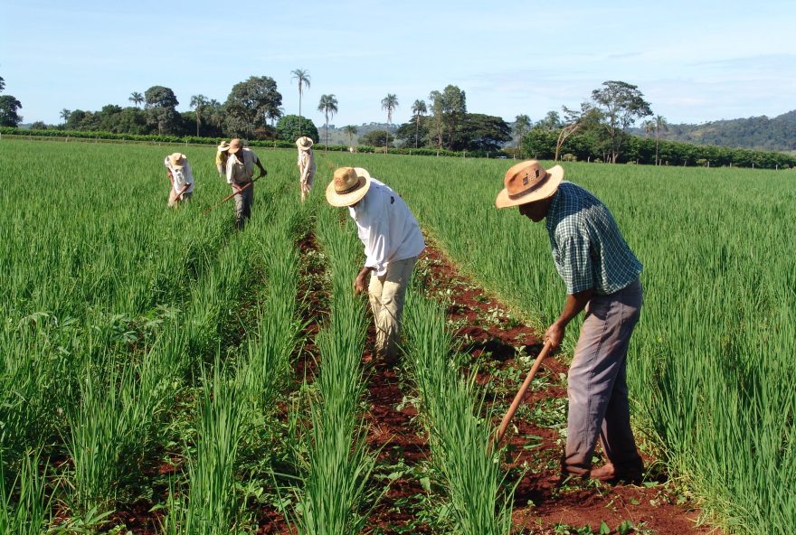 Percentual cobrado será de 1,65%, no máximo sobre as operações na produção agrícola, pecuária e mineral.(Foto: Emater)