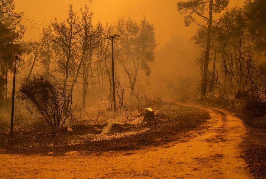 Smoke rises from smouldering trees as forest fires approach the village of Pefki on Evia (Euboea) island, Greece's second largest island, on August 8, 2021. - Hundreds of Greek firefighters fought desperately on August 8 to control wildfires on the island of Evia that have charred vast areas of pine forest, destroyed homes and forced tourists and locals to flee. Greece and Turkey have been battling devastating fires for nearly two weeks as the region suffered its worst heatwave in decades, which experts have linked to climate change. (Photo by ANGELOS TZORTZINIS / AFP)