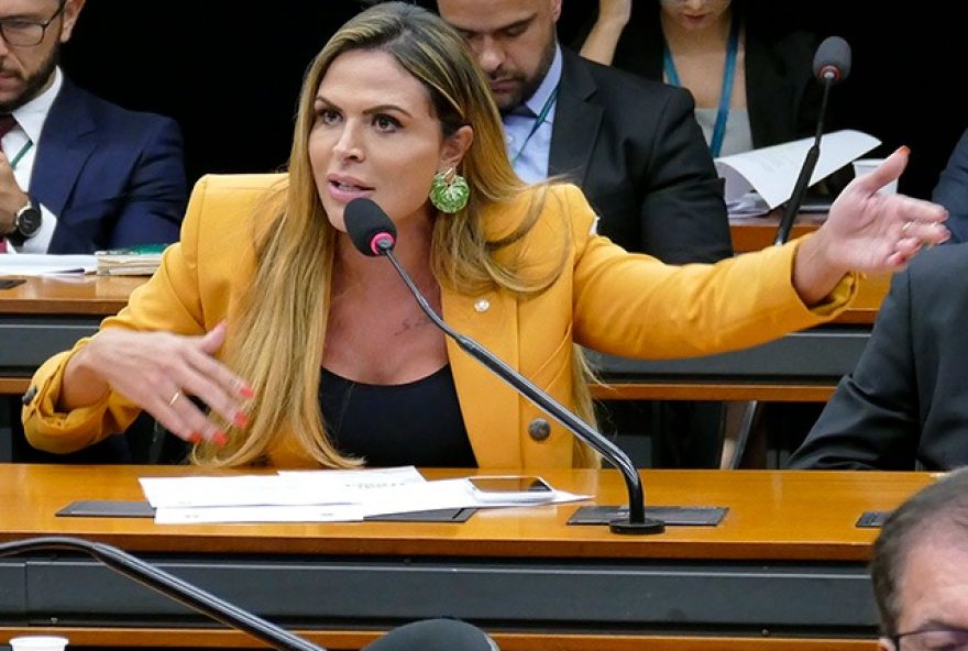 Gabinete de Silvye Alves é invadido pela segunda vez em menos de três meses (Reprodução/Câmara dos Deputados)