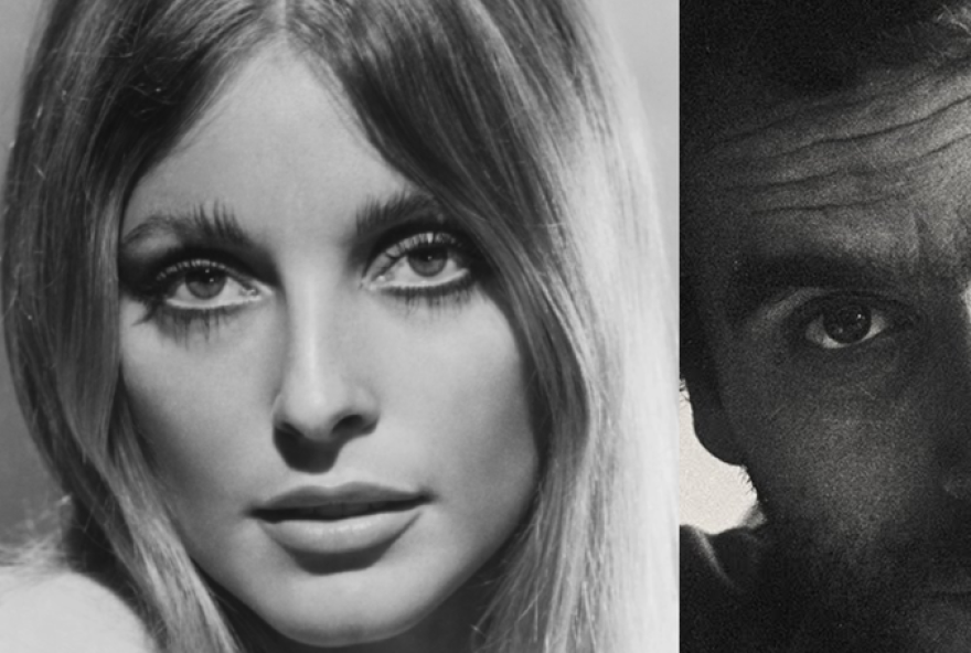22a-coincidencia-macabra-entre-sharon-tate-e-ted-bundy3A-um-confronto-entre-inocencia-e-brutalidade-na-historia-contemporanea22 22a-coincidencia-macabra-entre-sharon-tate-e-ted-bundy3A-um-confronto-entre-inocencia-e-brutalidade-na-historia-contemporanea22