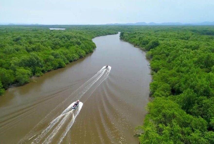 22descubra-a-estacao-ecologica-da-baia-de-guanabara2C-o-pantanal-fluminense22