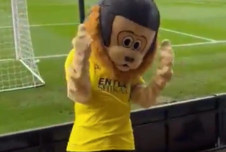 22episodio-constrangedor3A-mascote-embriagada-do-st.-albans-retirada-de-campo-gera-memes-e-preocupacao22 22episodio-constrangedor3A-mascote-embriagada-do-st.-albans-retirada-de-campo-gera-memes-e-preocupacao22