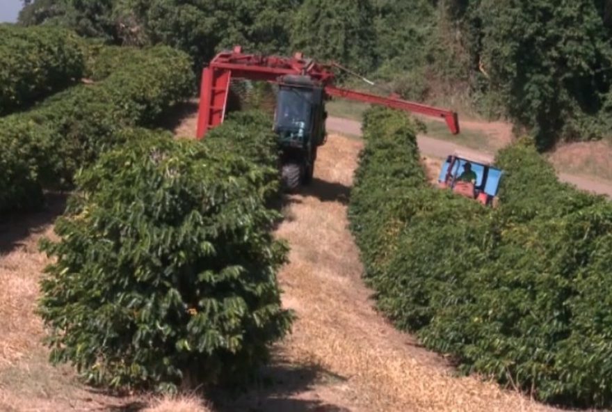 22eua-reduzem-tarifaco-e-animam-setor-agricola-no-vale-do-paraiba22