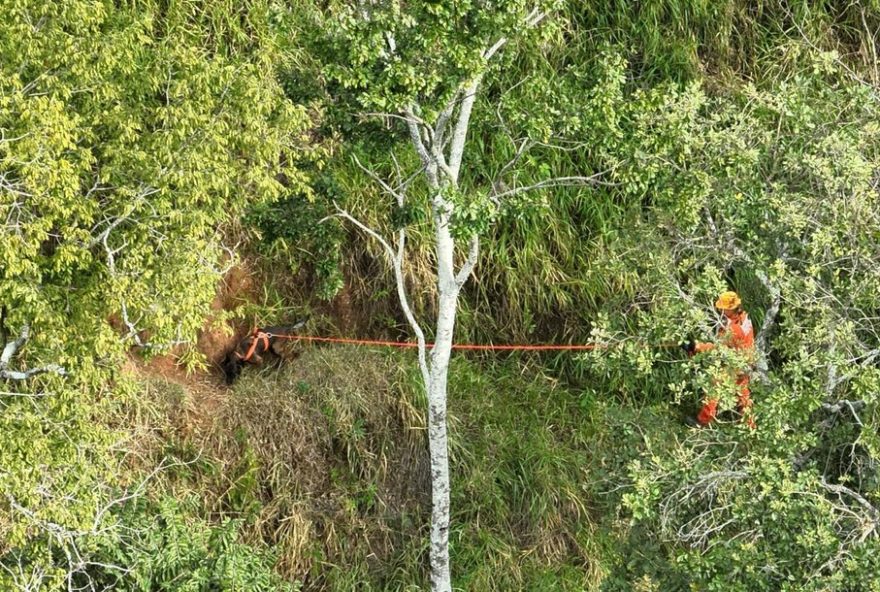 22guardiao-das-nascentes-e-encontrado-morto-em-minas-gerais3A-comunidade-lamenta-a-perda-de-defensor-do-meio-ambiente22
