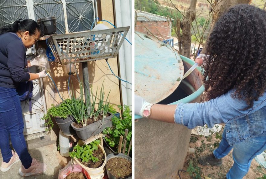 22liraa3A-indice-baixo-de-infestacao-de-aedes-aegypti-em-ipatinga-em-202522