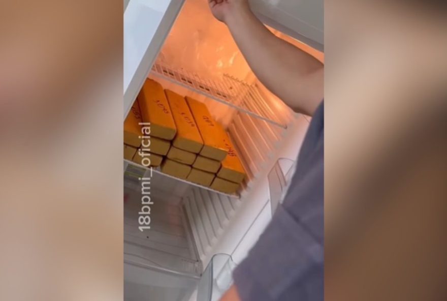 22maconha-e-pistola-encontrados-em-vistoria-de-apartamento-em-presidente-prudente22 22maconha-e-pistola-encontrados-em-vistoria-de-apartamento-em-presidente-prudente22