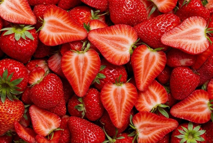 22programacao-da-festa-do-morango-em-bertioga3A-musica2C-gastronomia-e-diversao22 22programacao-da-festa-do-morango-em-bertioga3A-musica2C-gastronomia-e-diversao22