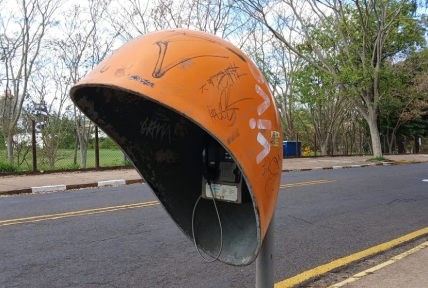 22quantos-orelhoes-ainda-existem-no-vale3A-mapa-revela-a-situacao-nas-cidades-da-regiao22 22quantos-orelhoes-ainda-existem-no-vale3A-mapa-revela-a-situacao-nas-cidades-da-regiao22