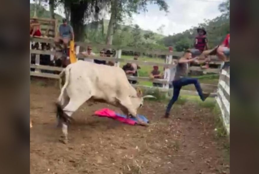 40-homens-sao-indiciados-por-farra-do-boi-em-governador-celso-ramos2C-santa-catarina 40-homens-sao-indiciados-por-farra-do-boi-em-governador-celso-ramos2C-santa-catarina