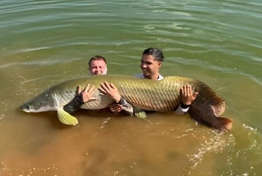 Adolescente pesca pirarucu com 60 quilos e mais de 2 metros de comprimento em Morrinhos