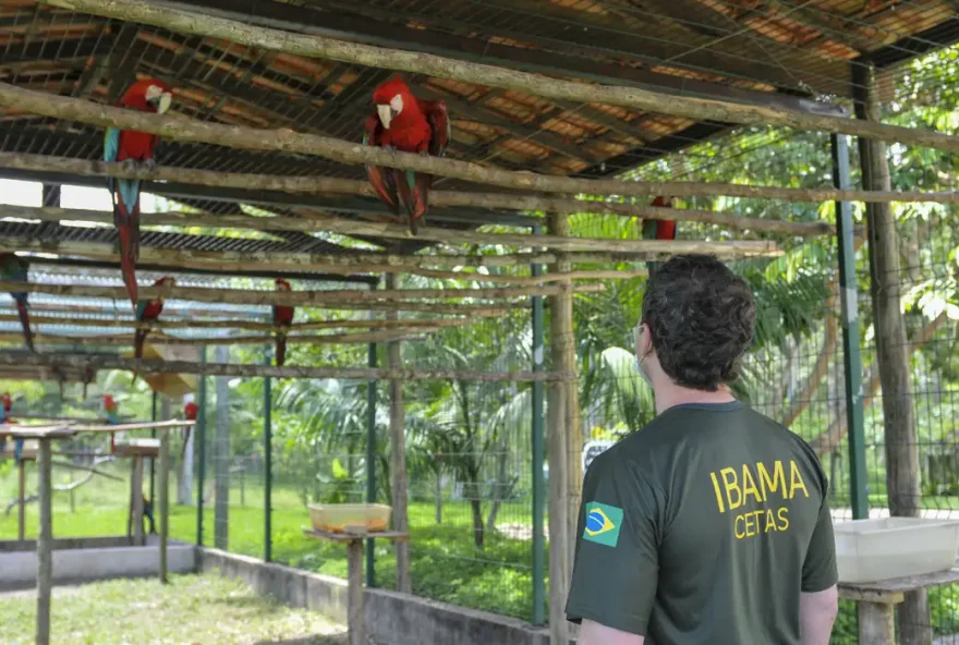 Servidores federais da área de meio ambiente iniciaram nesta segunda-feira ,24, uma greve que - até o dia 1º de julho