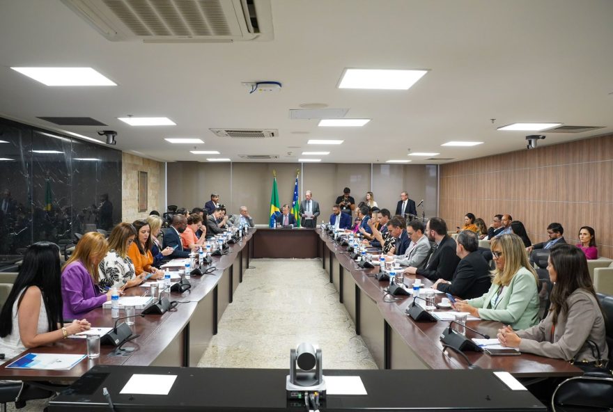 Goiás discute ações para Política Estadual da Primeira Infância