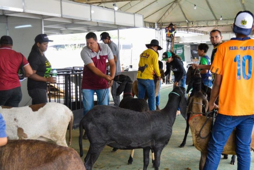 7a-expoleite-em-afranio3A-exposicoes2C-shows-e-tradicoes-do-agronegocio-no-sertao-de-pernambuco