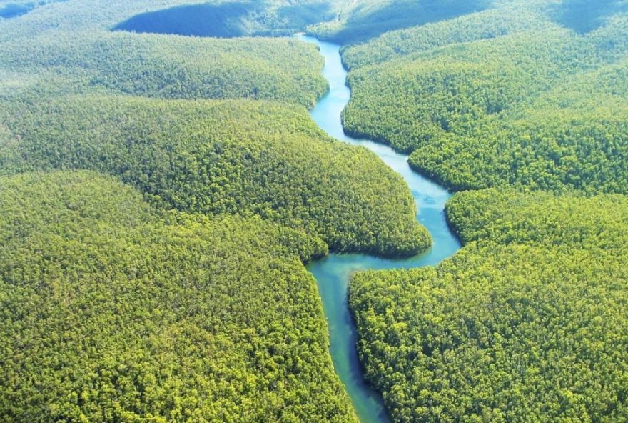 Amazônia reserva cobre