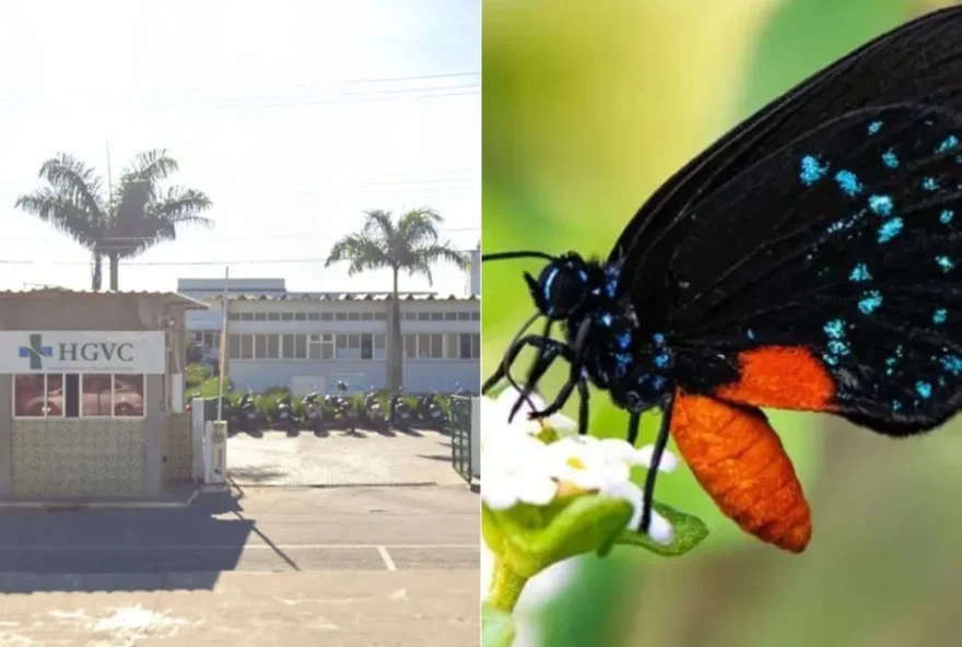 Bahia-garoto-morre-apos-aplicar-injecao-de-borboleta-na-perna