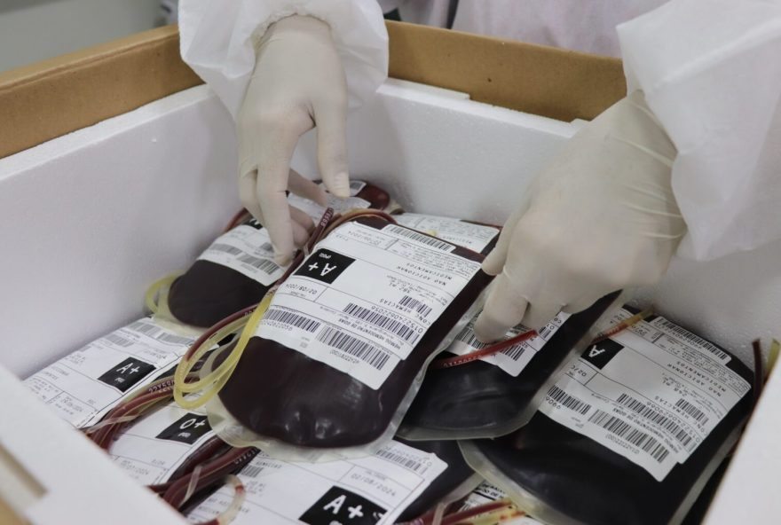 Bolsa-de-sangue-da-Rede-Hemo_SES-1536×1024 Bolsa-de-sangue-da-Rede-Hemo_SES-1536x1024