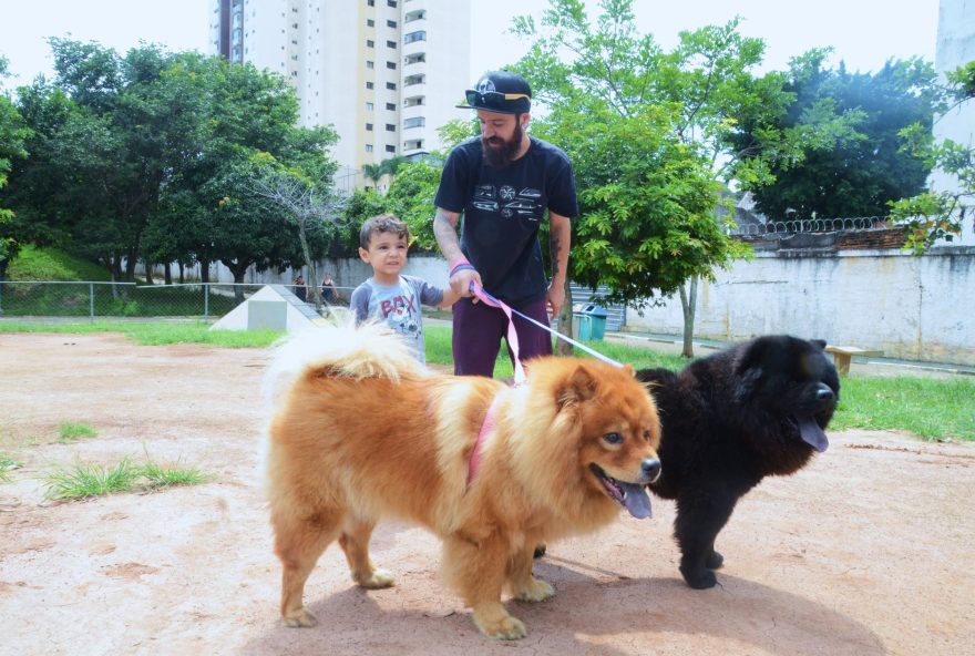 Foto: Prefeitura de São Paulo/https://www.capital.sp.gov.br/noticia/clubes-bons-pra-cachorro-centros-esportivos-com-cachorrodromos-fazem-sucesso-com-os-donos-de-pets