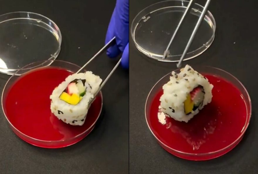 Um biólogo viralizou nas redes sociais após revelar a quantidade de bactérias presentes no sushi.

(Foto: Reprodução/ Agência Brasil)