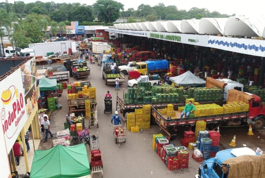 Na Ceasa, em Goiânia, a distribuição e comercialização de alimentos continua em horário normal durante feriado prolongado (Foto: Ceasa)