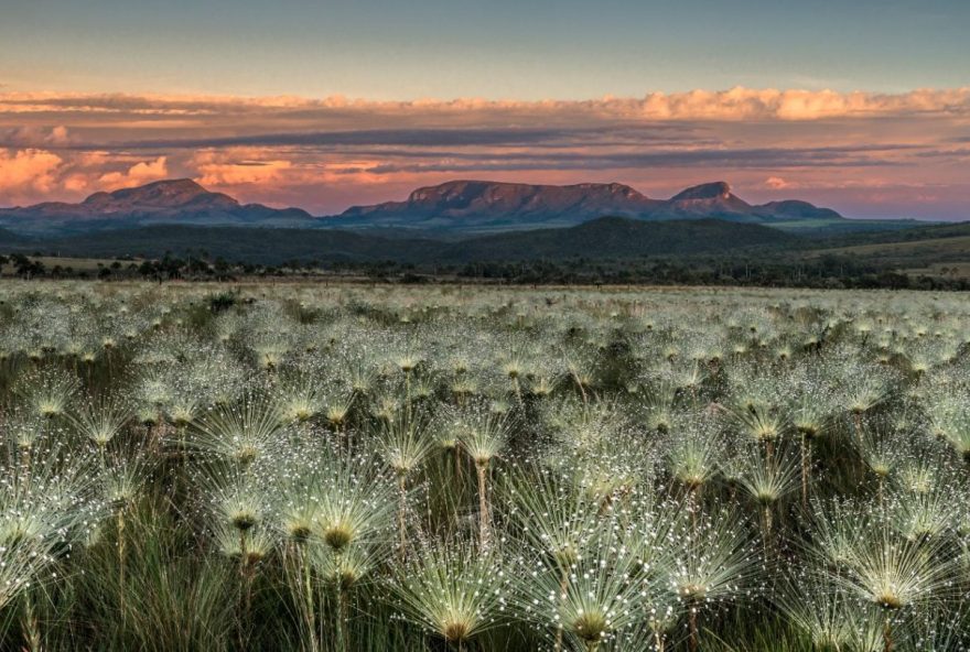 Vista do Jardim de Maytrea, na Chapada dos Veadeiros. (Foto: Divulgação/Agência Cora Coralina)