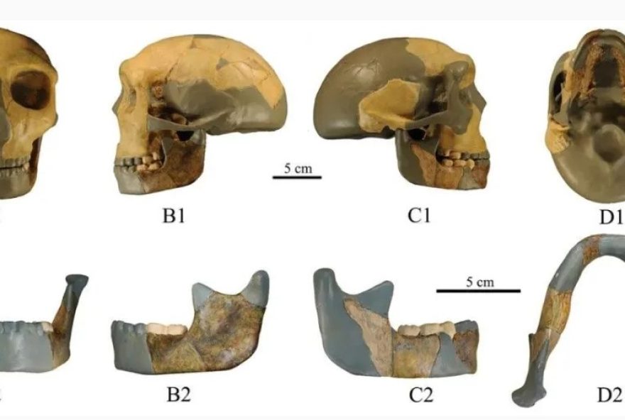 Descoberta gira em torno de um conjunto de ossos -um crânio e uma mandíbula-, datado de 300.000 anos atrás (Foto: reprodução/Xiujie Wu/Centro Nacional de Pesquisa em Evolução Humana)