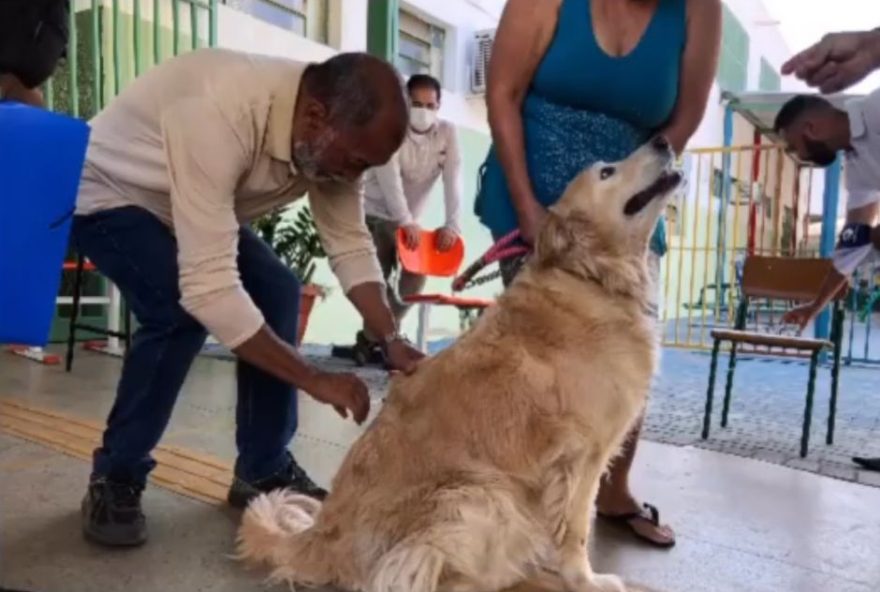 Prefeitura de Goiânia define Campanha Antirrábica de 2023: vacinação destinada a cães e gatos ocorrerá em três sábados seguidos do mês de setembro, iniciando em, 16, e indo até, 30
(Foto: Reprodução)