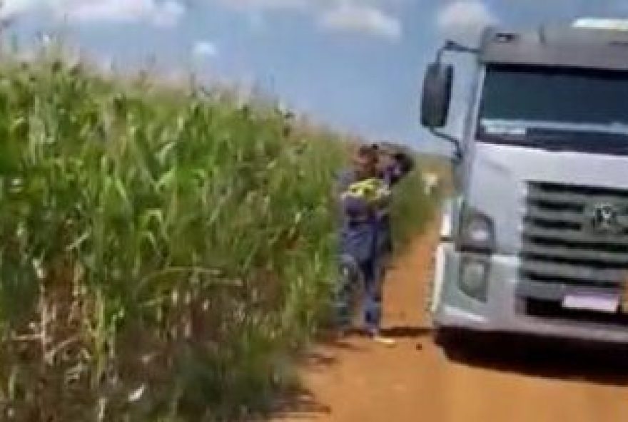 Caminhoneiro foi pego pelo gerente furtando 10 espigas de milho (Foto: Arquivo DE)