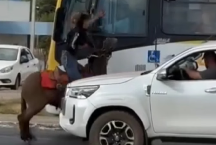 Confusão foi registrada em Bela Vista de Goiás, após uma discussão entre os envolvidos. (Foto: Reprodução)