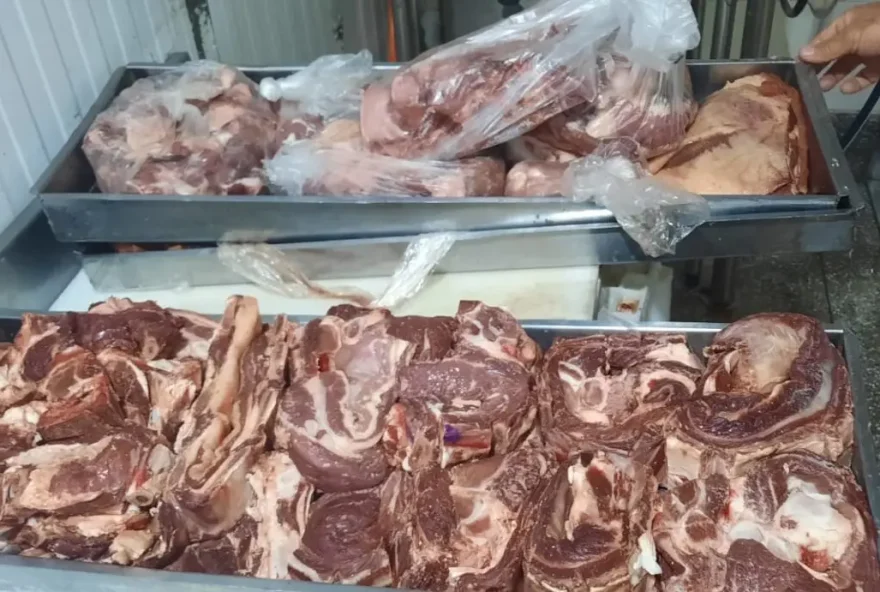 Carnes apreendidas estavam com mau cheiro e aspecto deteriorado (Foto: Procon Goiás)