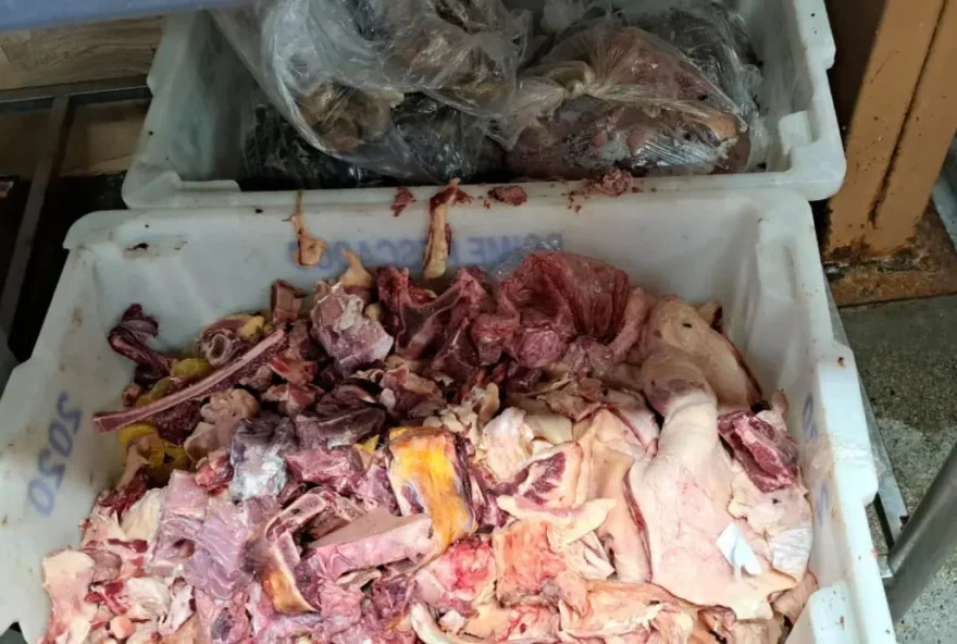 Fiscais encontraram mais de 460 quilos de carnes, principalmente bovina, sem informações como corte ou data de vencimento (Foto: Procon Goiás)