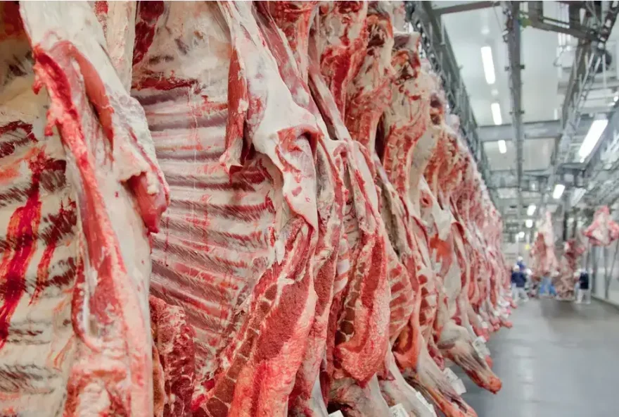 Em 2023, exportações goianas de carnes e miudezas para China atingiram valor de US$ 909,7 milhões (Foto: Divulgação SIC e Abiec)