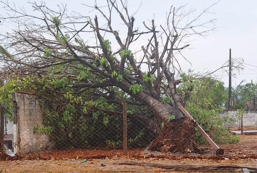 Equatorial Goiás alerta para temporais com ventos fortes em Goiânia e região metropolitana (Foto: Equatorial)