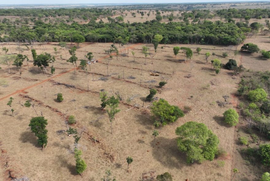 Goiás tem 3% de seu território coberto pelo Bioma da Mata Atlântica (Foto: Semad)