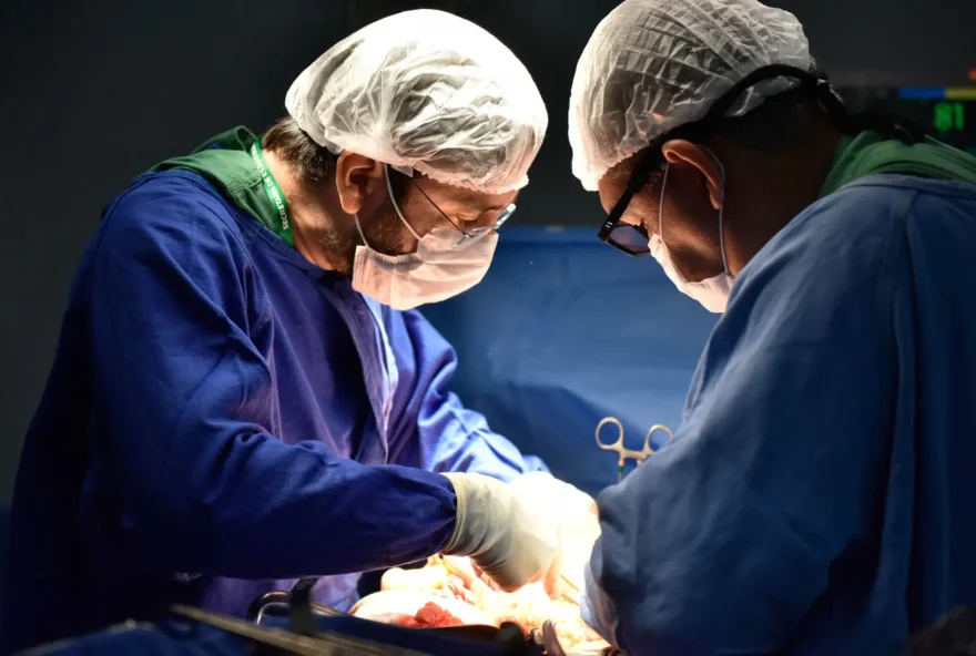 Órgãos captados no Hugol vão para pacientes que necessitam de um transplante e estão aguardando em lista única (Foto: Thauann Salesl)