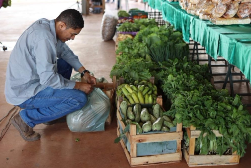 Por meio do PAA Goiás, o governo do Estado compra os produtos, que são doados simultaneamente para instituições sociais que assistem pessoas em situação de vulnerabilidade social e insegurança alimentar nos municípios goianos (Foto: Emater-GO)