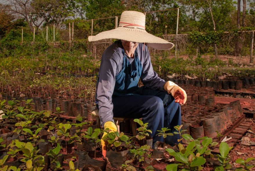 Formosa lidera criação de empregos no agro no mês de abril