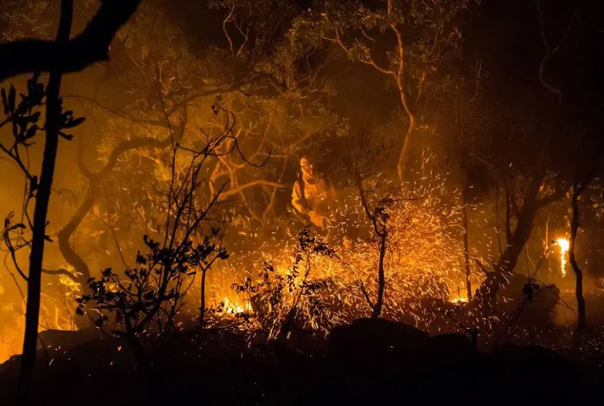 Incêndios criminosos colocam biodiversidade em risco. Novas estratégias podem representar avanços no combate ao fogo (Foto: Fernando Tatagiba/ICMBio)