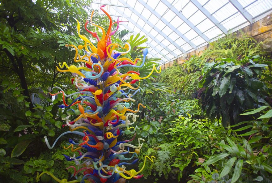 Fairchild_Tropical_Botanical_Gardens_Colorful_Sculpture_12.17.20_49469B1B-5056-A36A-0BAEEAA8D135AEC7-49469a2f5056a36_49469b7b-5056-a36a-0b2fea4e9ffb552d