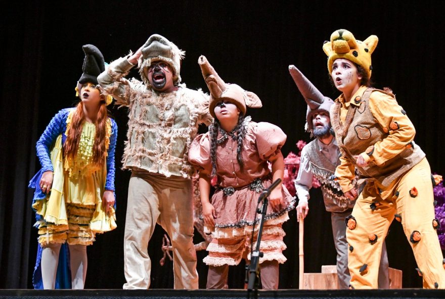 Grupo de Teatro Arte & Fatos apresenta espetáculo Mundo Cerrado (Divulgação)