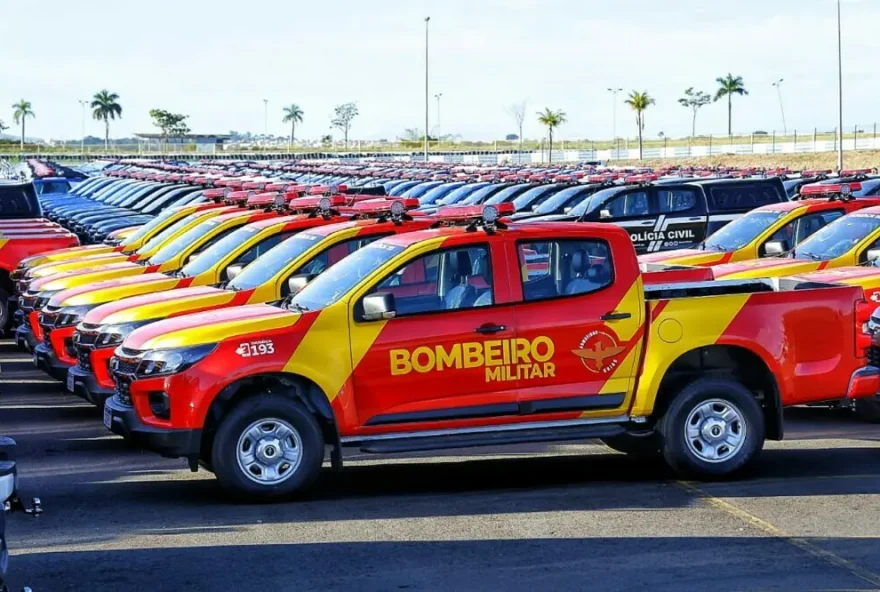 (Foto: Corpo de Bombeiros Militar de Goiás)