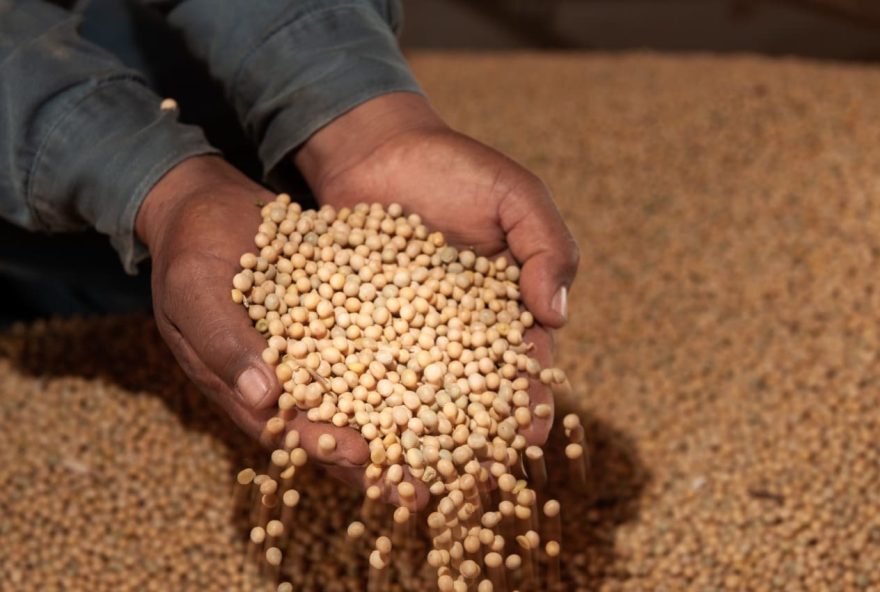 PIB goiano cresce 7,7% no acumulado do ano puxado pela agropecuária (Fotos: SGG-GO)