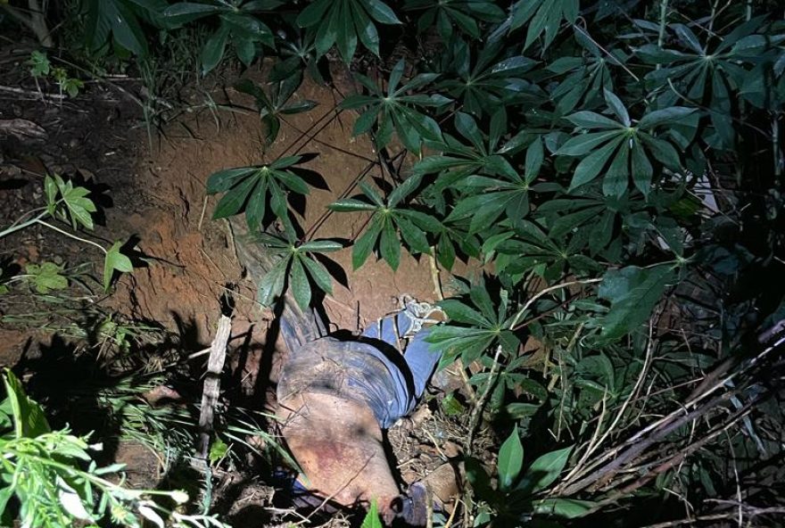 De acordo com a polícia, depois de matar a vítima com diversos golpes de enxadão e tijoladas, os autores jogaram o corpo da vítima em uma fossa em Santa Rita do Araguaia.