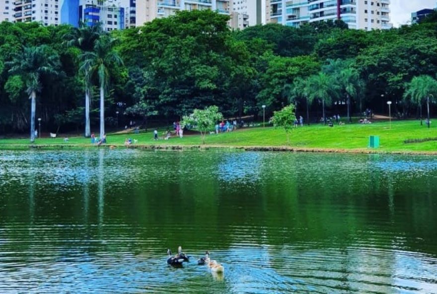 Prefeitura de Goiânia inicia troca de iluminação do Parque Vaca Brava na segunda-feira, 10