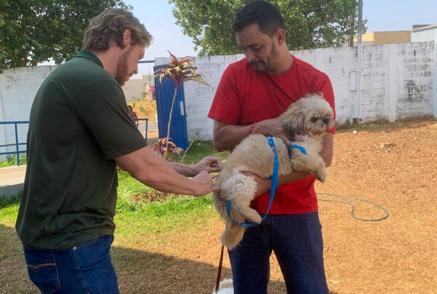 Campanha de Vacinação Antirrábica vacinou mais de 77 mil cães e gatos, nos dois últimos sábados, em Goiânia / Foto: SMS